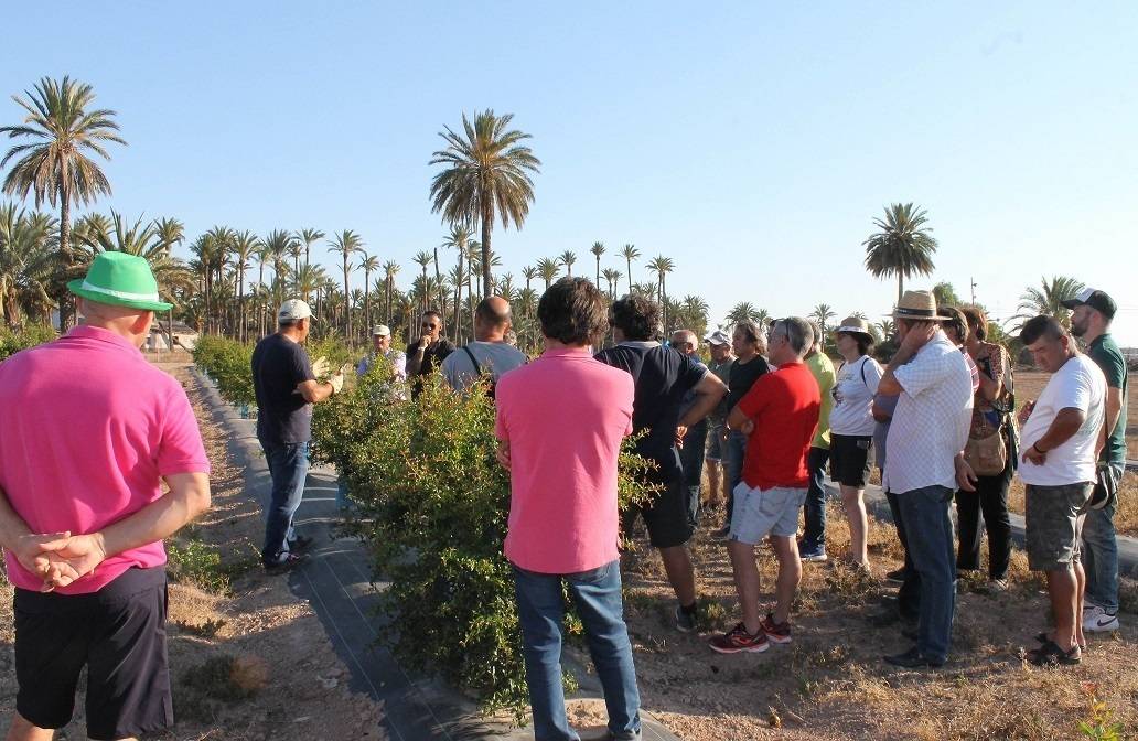 FORMACION2|FORMACION1|FORMACION3|FORMACION4|FORMACION6|FORMACION5